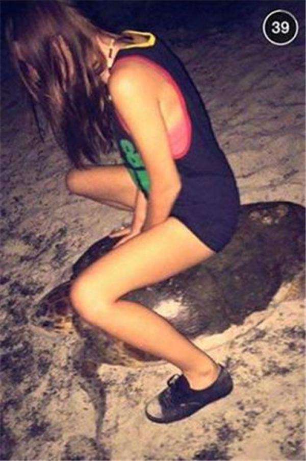 美国女子骑海龟拍照 或面临5年监禁