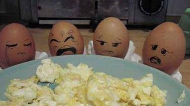 蛋蛋们的未来可爱搞怪图片