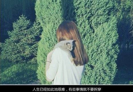 唯美伤感带字女生图片大全