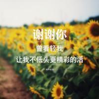 精选感恩节非主流带字头像图片