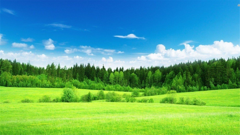 大自然绿色风景高清桌面壁纸
