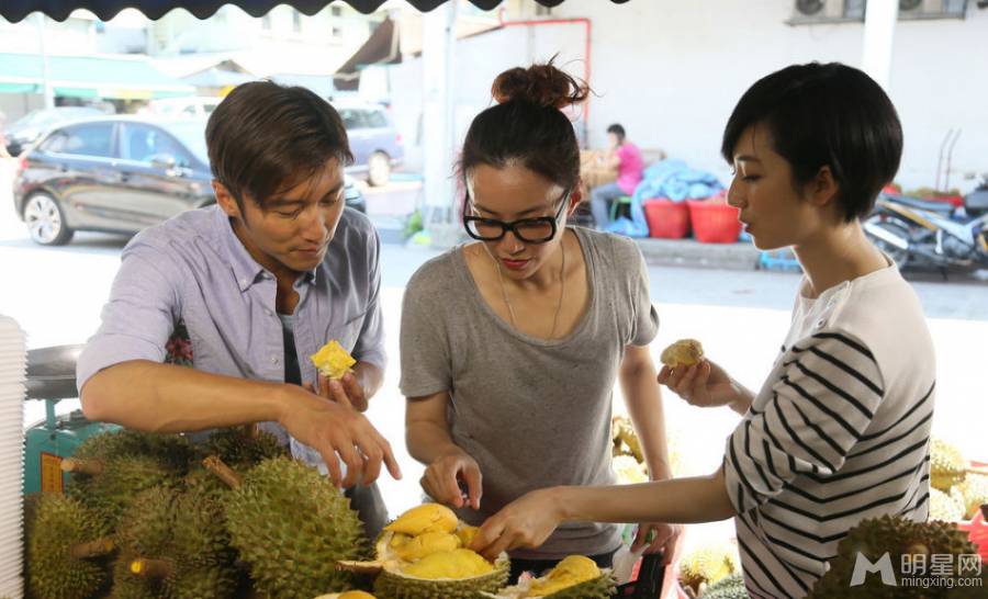 《锋味》谢霆锋桂纶镁远赴马来西亚大啖美食