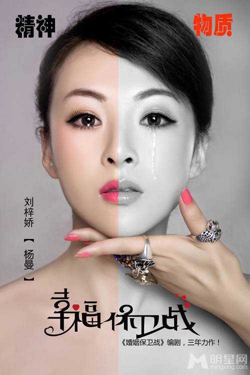 好看的现代都市剧 《幸福保卫战》主演海报