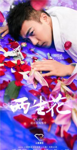 组图：《两生花》主演刘恺威王丽坤唯美梦幻海报写真