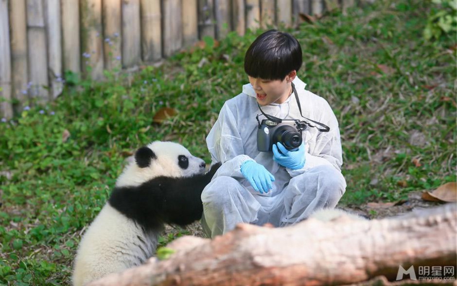 《奇妙朋友》李宇春和国宝熊猫比萌组图