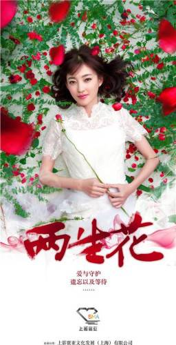 组图：《两生花》主演刘恺威王丽坤唯美梦幻海报写真