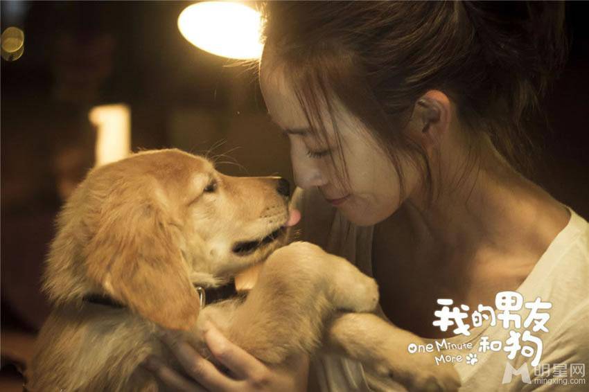 《我的男友和狗》主演张钧甯何润东海报