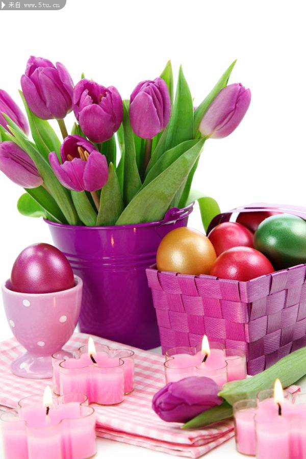 复活节的彩蛋与郁金香图片