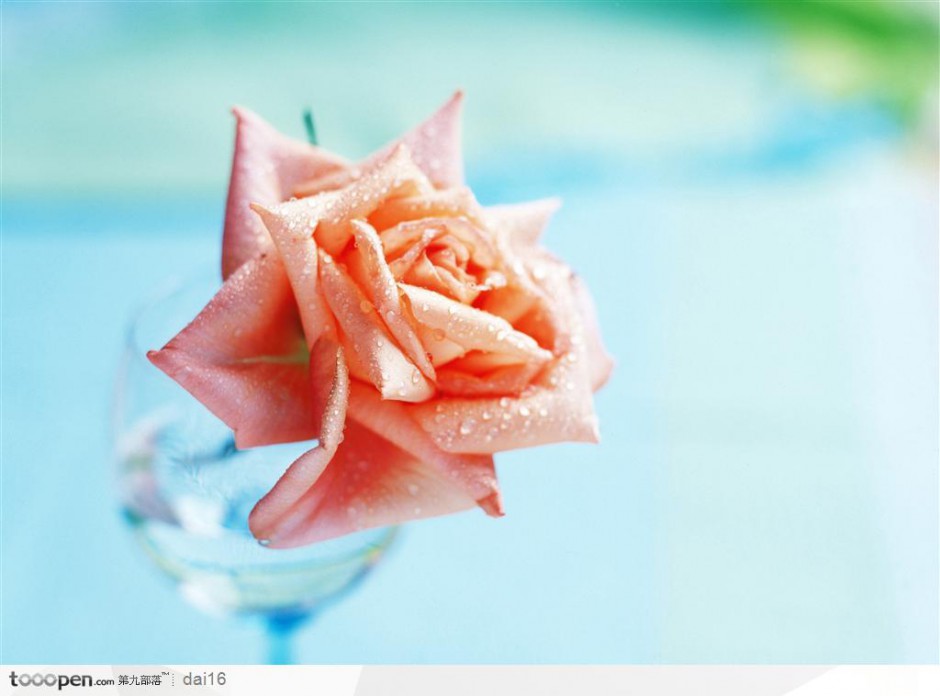 唯美的粉色玫瑰花艺图片欣赏