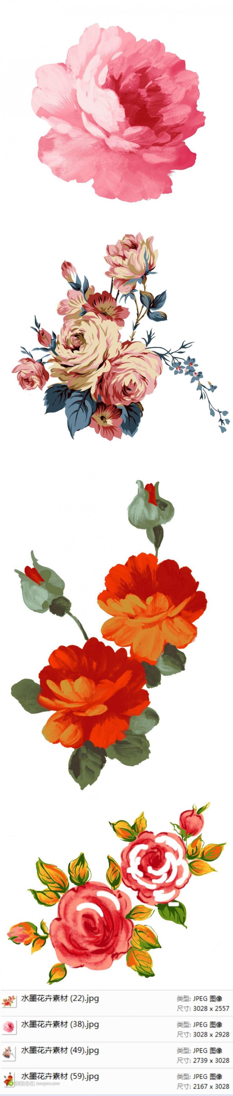 水墨素描玫瑰花插画图片