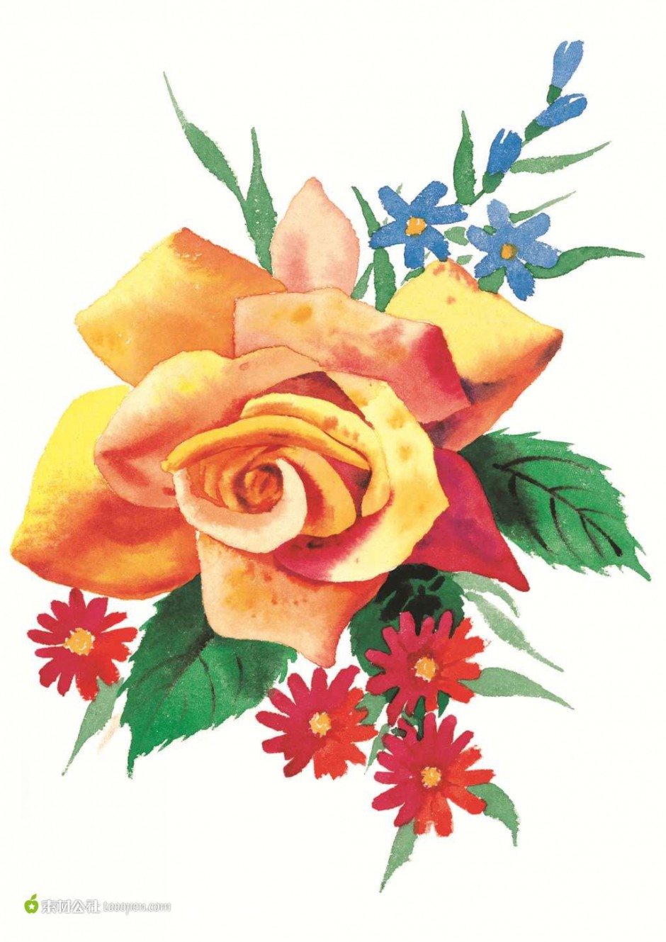 花与画的艺术玫瑰花手绘图