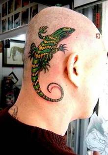 男生头侧的蜥蜴纹身图片