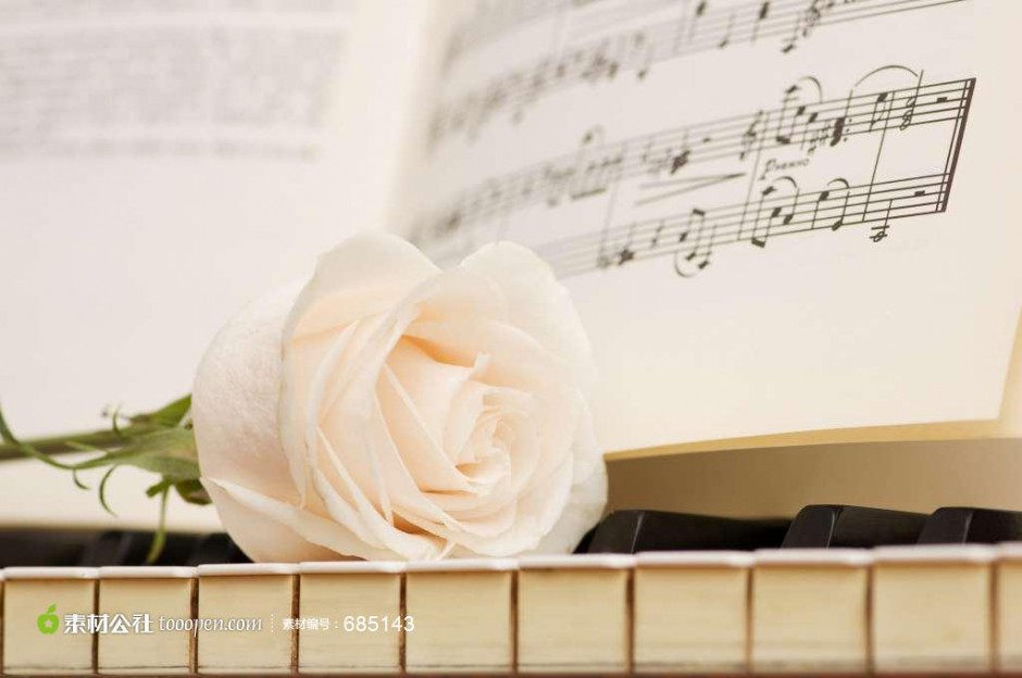 钢琴上的玫瑰花艺术照欣赏