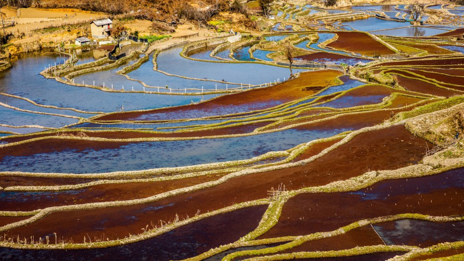 云南箐口梯田旅游景区风景图片