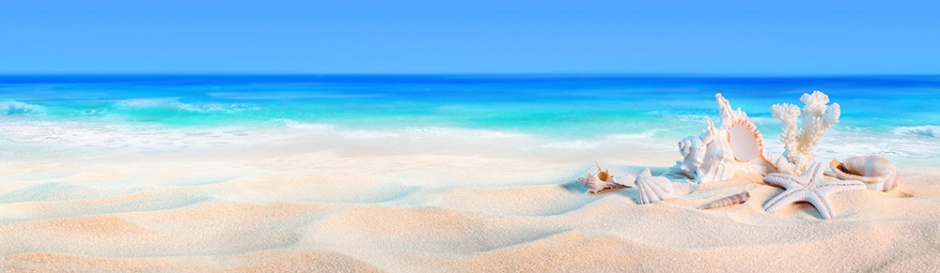 炎炎夏日下的沙滩美景图片
