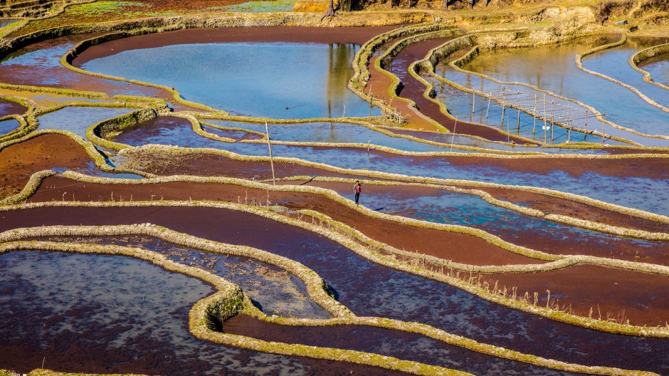 云南箐口梯田旅游景区风景图片