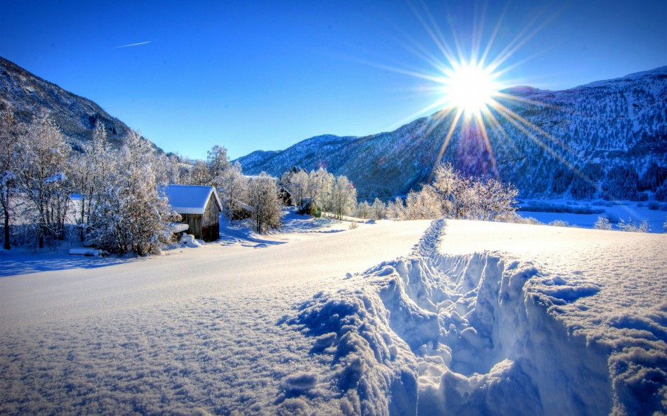 北方漂亮的冬天雪景图片