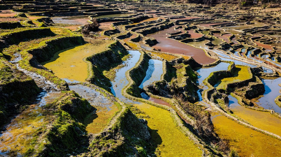 云南箐口梯田旅游景区风景图片