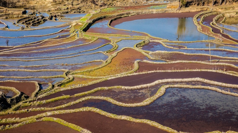 云南箐口梯田旅游景区风景图片