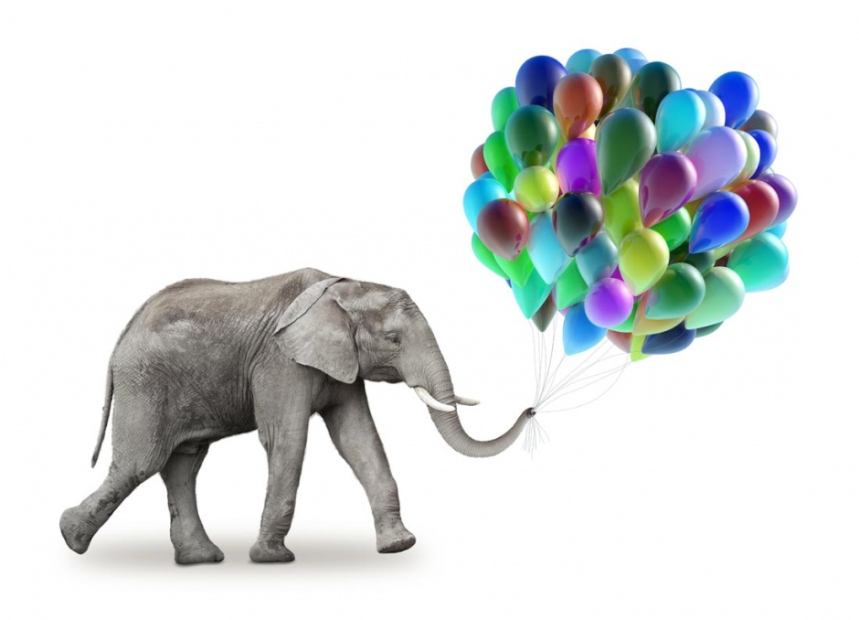 大象与气球高清图片素材