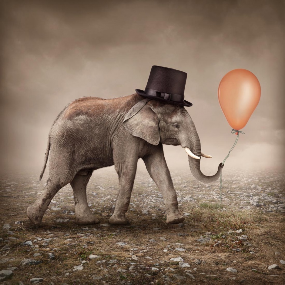 大象与气球高清图片素材