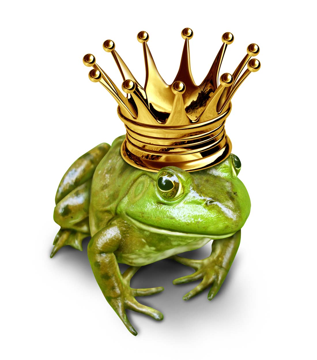 小青蛙戴着皇冠头饰图片