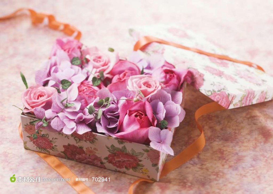 礼物盒里的玫瑰花图片欣赏