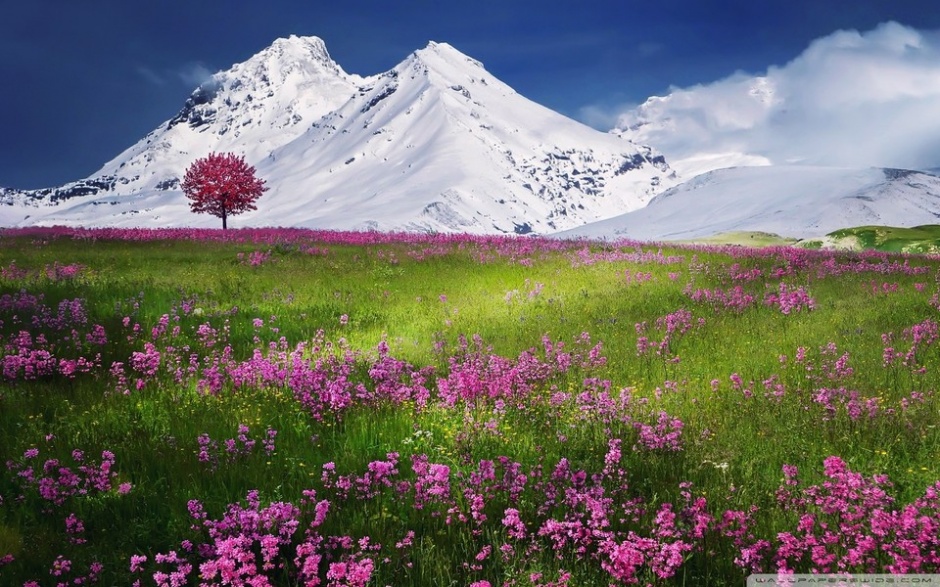 唯美的秋冬季风景图片