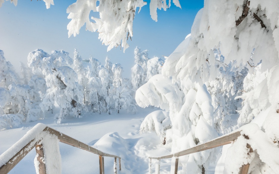 冬季雪景风景高清摄影图片