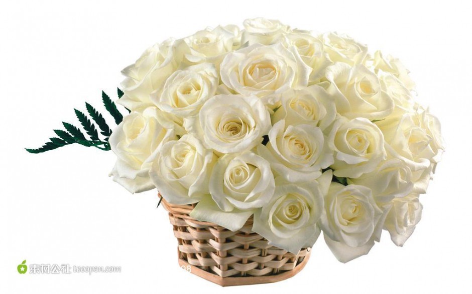 竹篮里的白玫瑰高清图片