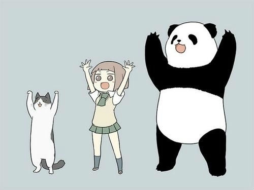 超萌可爱熊猫qq头像集锦