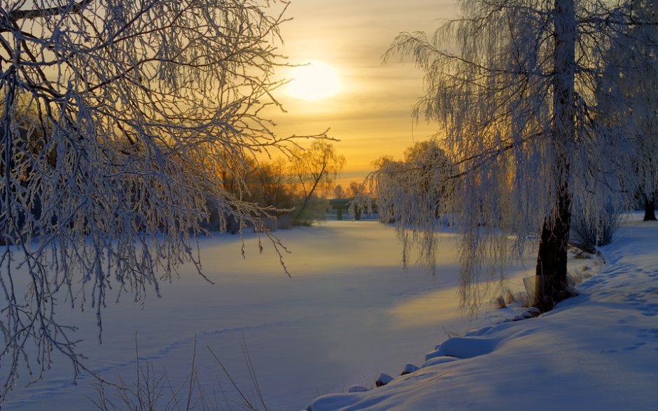 林区冬季雪景风景图片欣赏