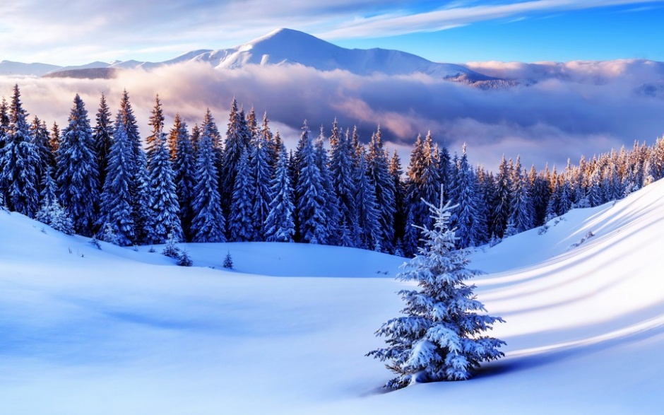 冬季雪景风景高清摄影图片