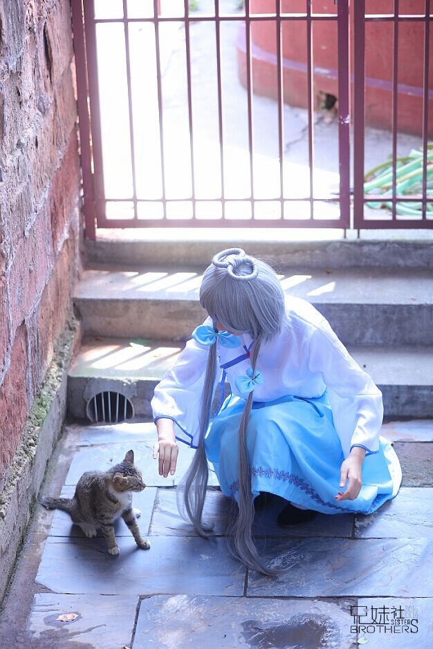 洛城书苑洛天依Cosplay写真