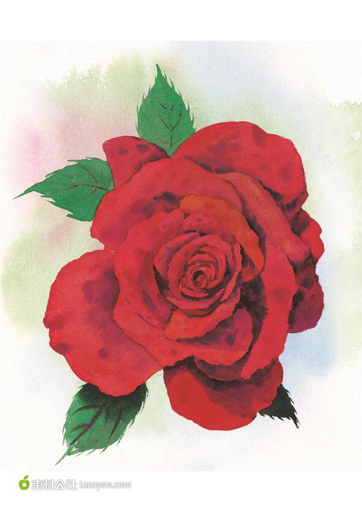 彩绘玫瑰花艺术图片素材欣赏