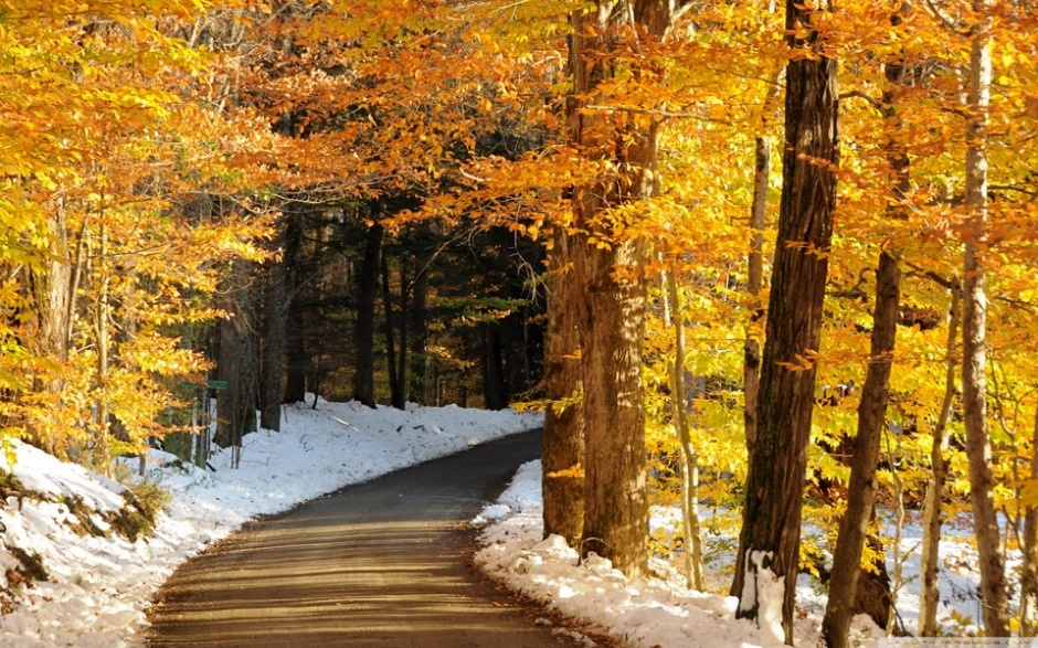 唯美的秋冬季风景图片