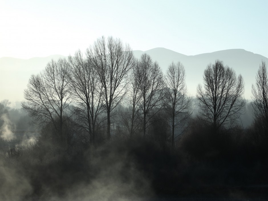 清晨的云雾风景实拍图片