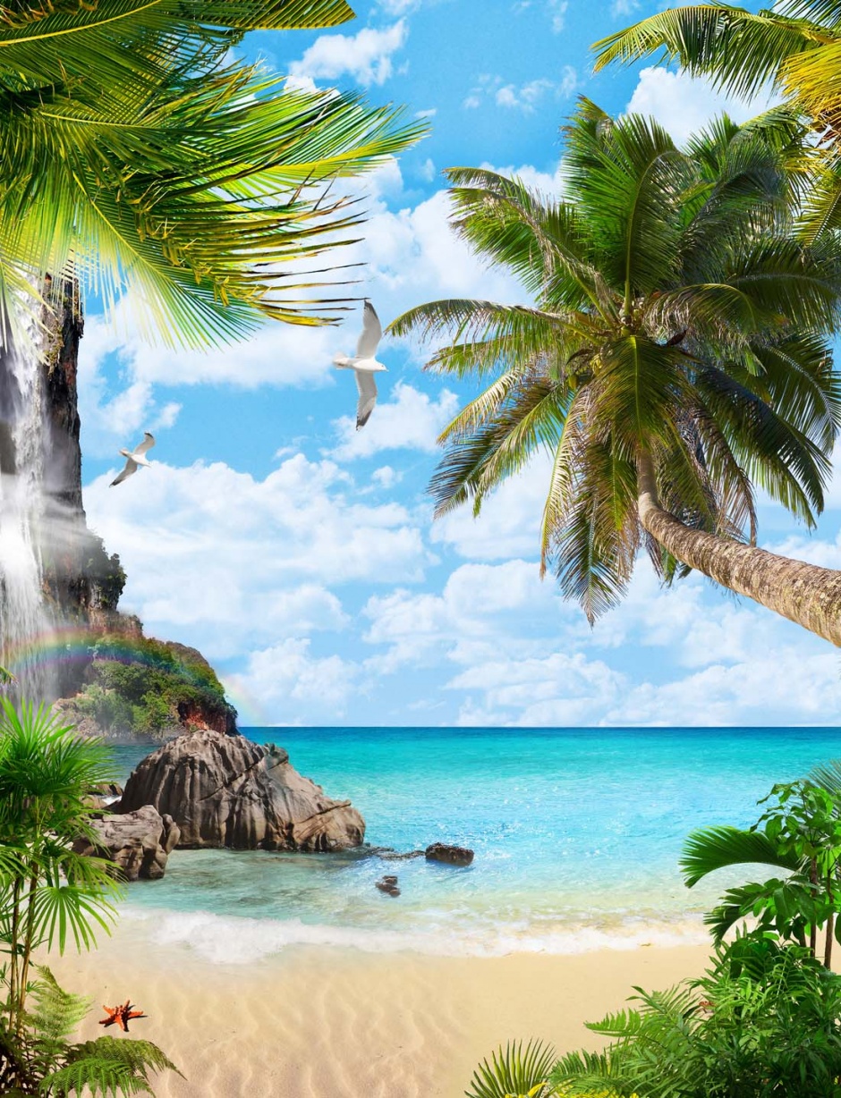 海边的椰林风景高清图片