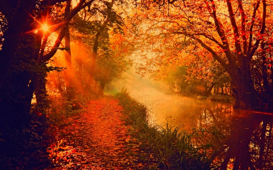 唯美的秋天风景高清图片