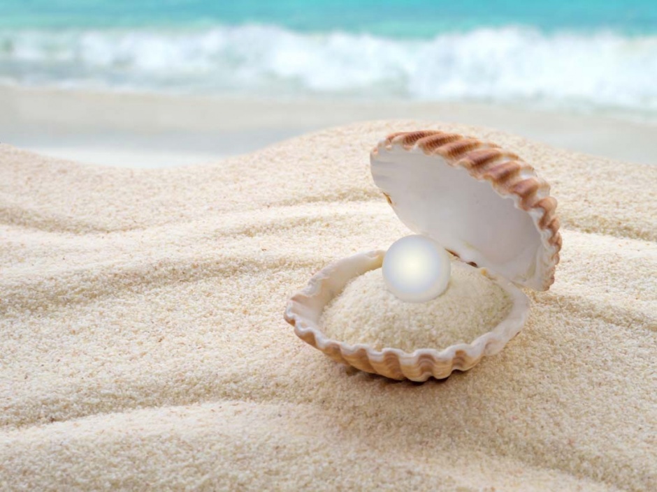 唯美沙滩和珍珠贝壳高清图片