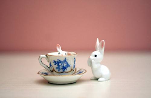 治愈系创意小物件图片赏析