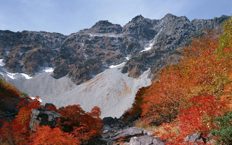 秋天最美的枫叶风景图片