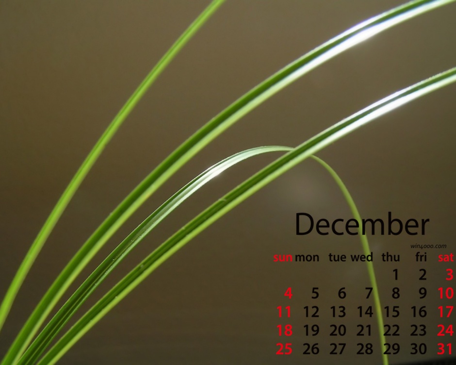 2016年12月日历绿色植物电脑壁纸