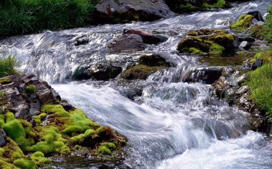 山涧小溪河流树木风景图片