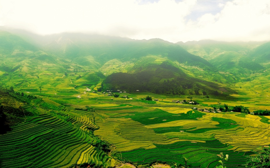 清爽舒适的绿色田园风景图片背景