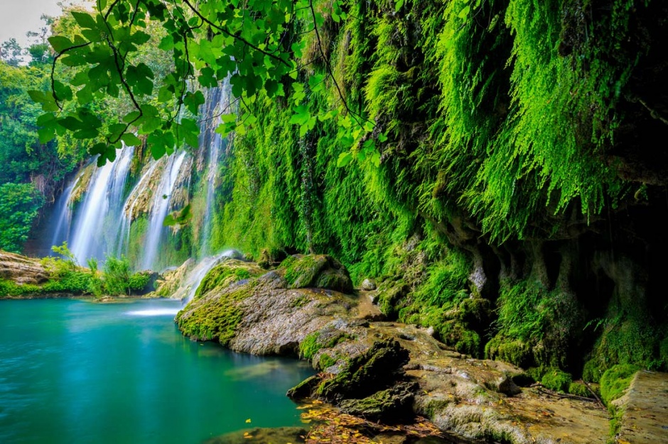 树林瀑布流水的风景高清图片