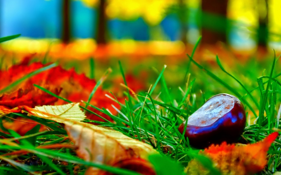 优美的大自然风景摄影图片