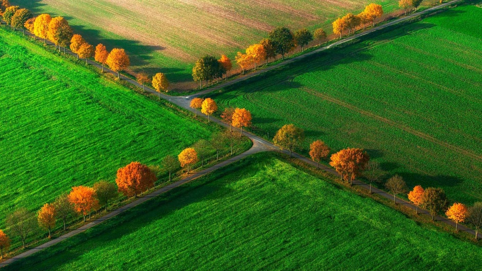 秋天的田野风景桌面壁纸