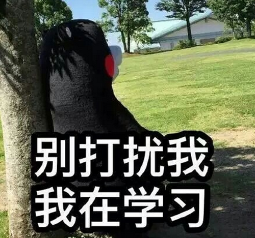 卖萌的熊本熊带字图片