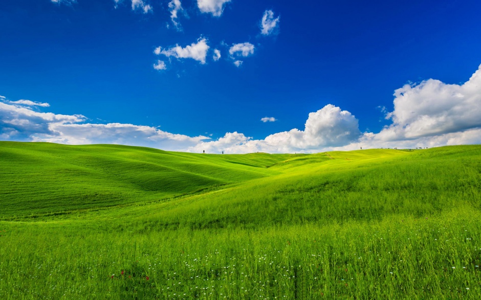 蓝天白云下的草原风景电脑桌面壁纸
